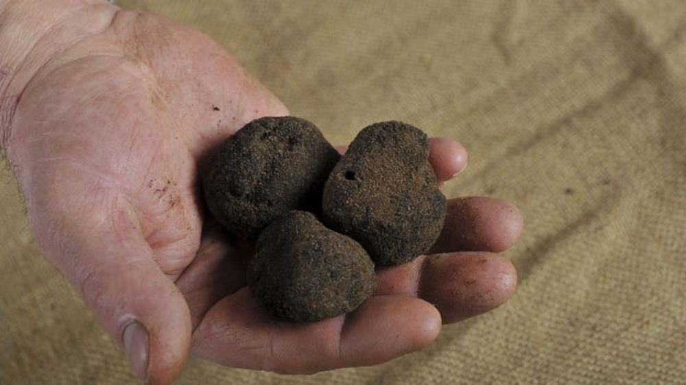 Photo d’illustration. © Sylvain Beucherie