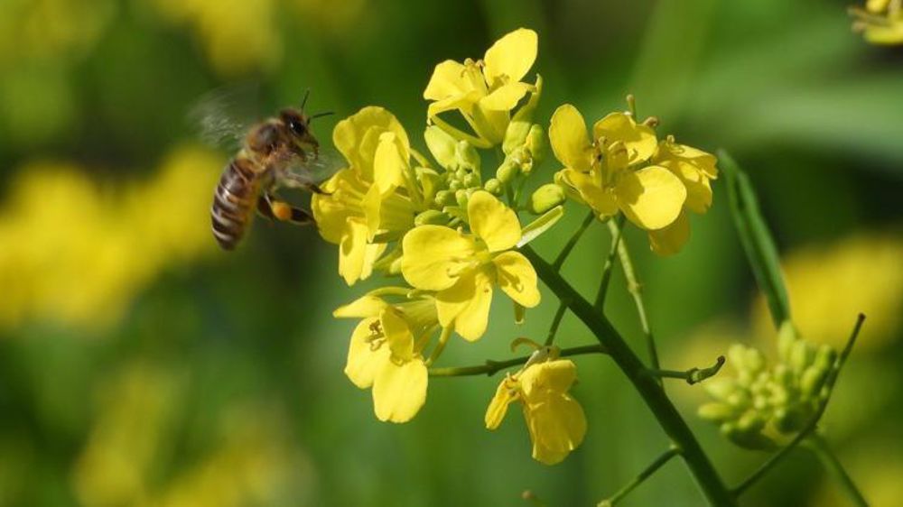 Photo d’illustration. © Pixabay