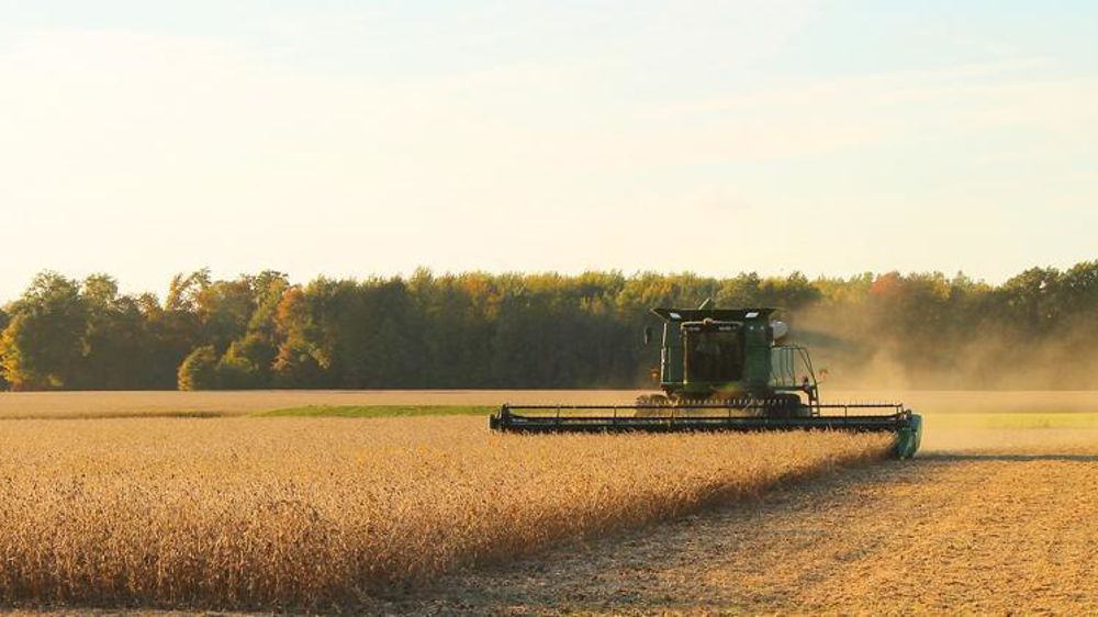 La Chine est le plus gros importateur de soja américain. © Pixabay