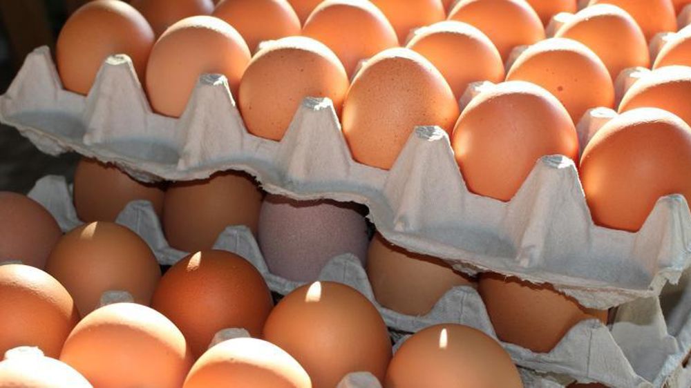 Photo d’illustration. © Pixabay