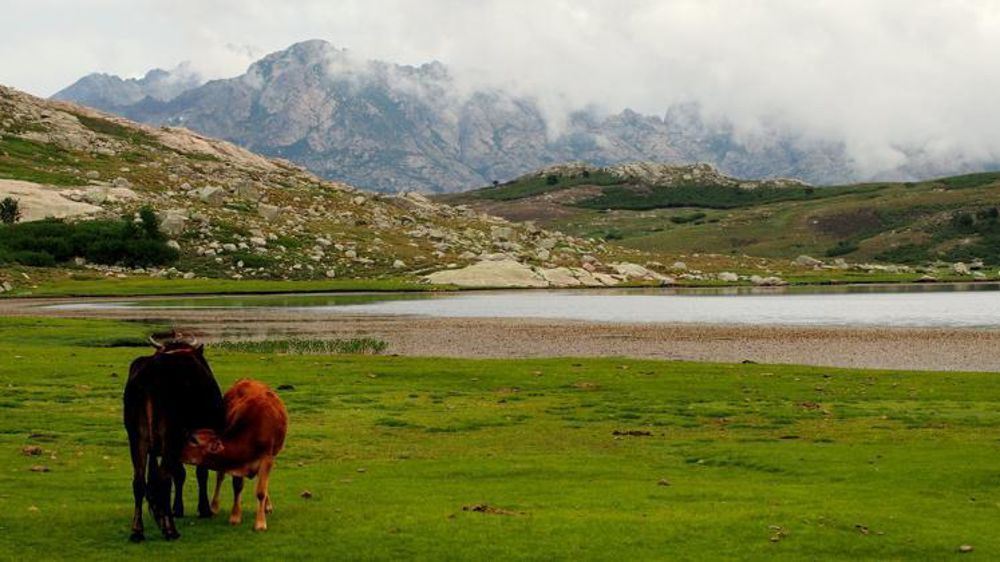 La Commission européenne pourrait remettre en cause les aides aux surfaces peu productives sur l’ensemble du territoire français faisant suite aux fraudes constatées en Corse, selon un rapport confidentiel. © Pixabay