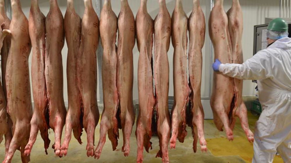 Les exportations françaises de viande porcine sont dynamiques vers l’Asie, mais également à destination des pays de l’Union européenne. © Cédric Faimali/GFA