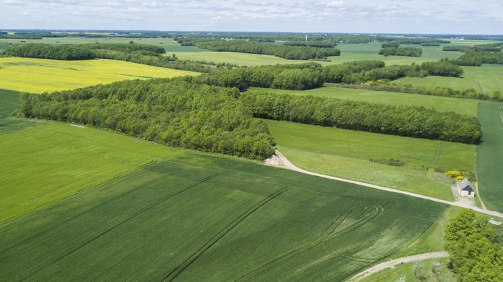 Didier Guillaume aurait indiqué le 28 novembre vouloir avancer, en partie avec les Safer sur des mesures foncières dès le premier semestre de 2020. © C. Faimali/GFA