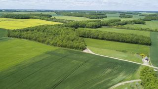 Didier Guillaume aurait indiqué le 28 novembre vouloir avancer, en partie avec les Safer sur des mesures foncières dès le premier semestre de 2020. © C. Faimali/GFA Didier Guillaume aurait indiqué le 28 novembre vouloir avancer, en partie avec les Safer sur des mesures foncières dès le premier semestre de 2020. © C. Faimali/GFA