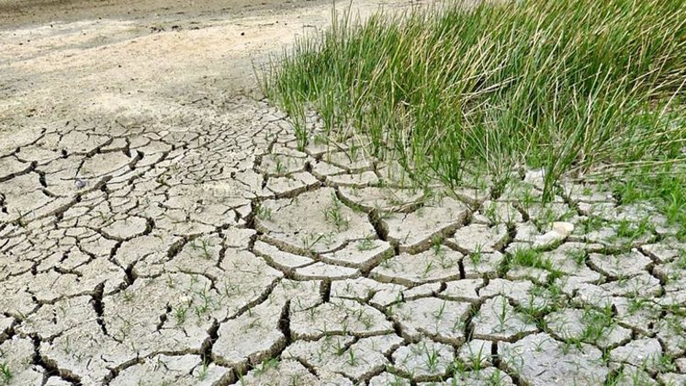 Le déficit hydrique atteint les 200 mm dans les grandes régions agricoles de la Pologne. © Pixabay