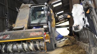 La Fefac, Fédération européenne des fabricants d’aliments composés, souligne les dangers qui pèsent sur les filières porcine et avicoles de l’Union européenne, dans ses prévisions de production pour l’année 2020. © C. Faimali/GFA La Fefac, Fédération européenne des fabricants d’aliments composés, souligne les dangers qui pèsent sur les filières porcine et avicoles de l’Union européenne, dans ses prévisions de production pour l’année 2020. © C. Faimali/GFA