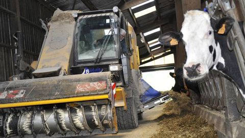 La Fefac, Fédération européenne des fabricants d’aliments composés, souligne les dangers qui pèsent sur les filières porcine et avicoles de l’Union européenne, dans ses prévisions de production pour l’année 2020. © C. Faimali/GFA La Fefac, Fédération européenne des fabricants d’aliments composés, souligne les dangers qui pèsent sur les filières porcine et avicoles de l’Union européenne, dans ses prévisions de production pour l’année 2020. © C. Faimali/GFA