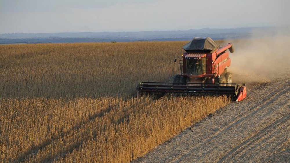 Le Brésil pourrait engranger sa seconde plus importante récolte de céréales et de soja de son histoire. @Pixabay