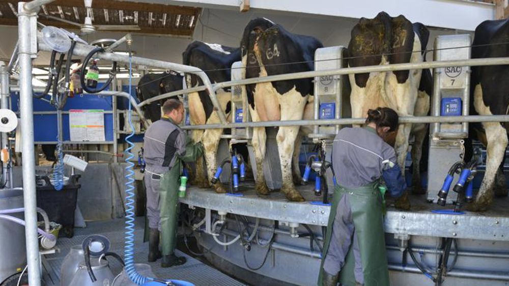 © Cédric Faimali/GFA