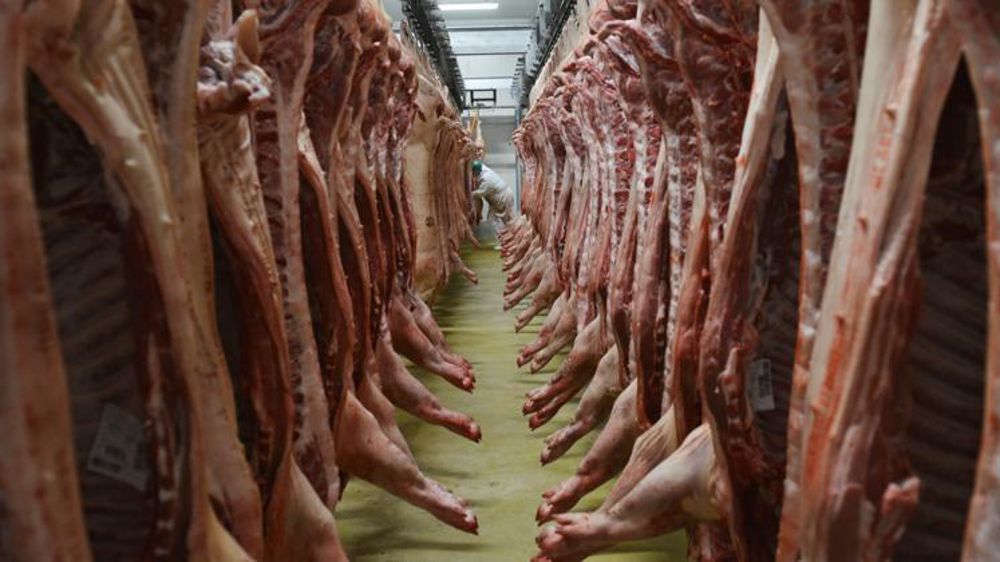 Pour la Fédération nationale porcine (FNP), le prix du porc français « ne décolle pas ». © Cédric Faimali/GFA