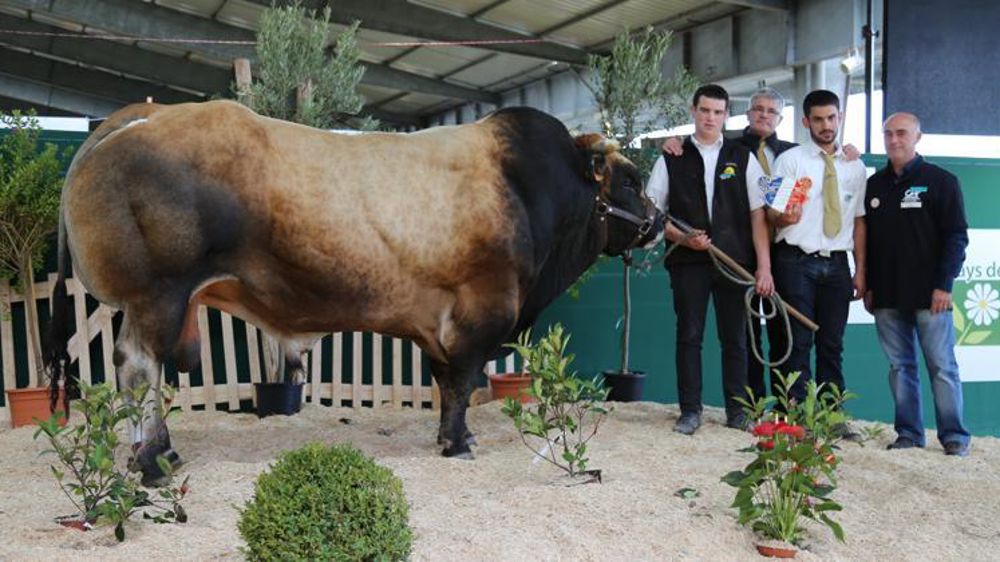 © M.-F. Malterre/GFA