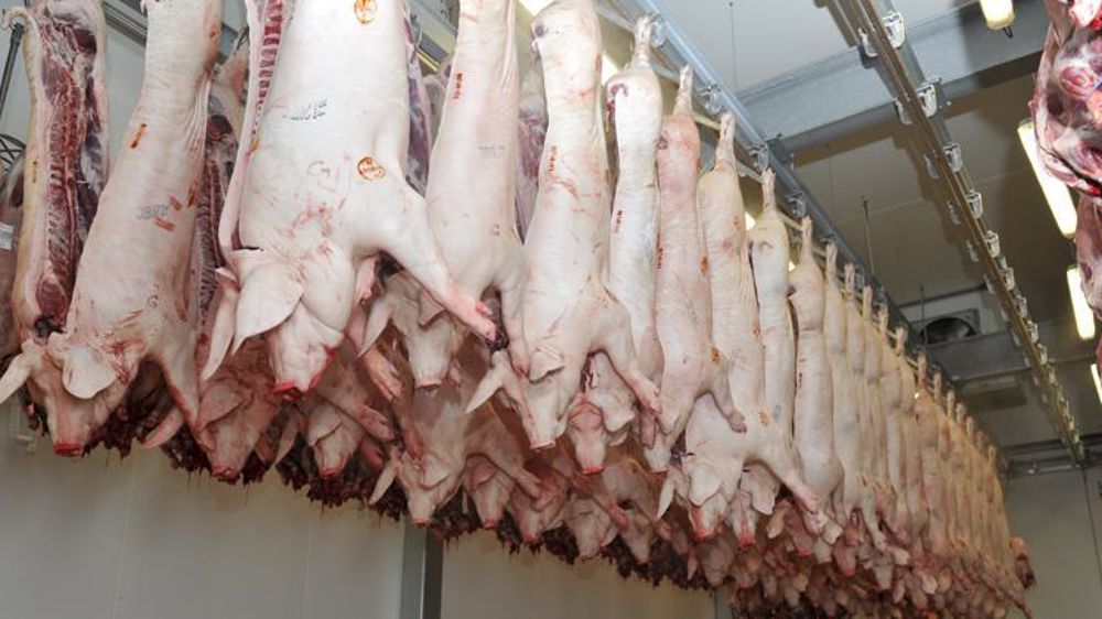 © Cédric Faimali/GFA