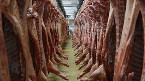 Les exportations françaises de viande porcine vers la Chine ou l’Union européenne ont progressé de moitié en octobre 2019 par rapport à 2018. © C. Faimali/GFA Les exportations françaises de viande porcine vers la Chine ou l’Union européenne ont progressé de moitié en octobre 2019 par rapport à 2018. © C. Faimali/GFA