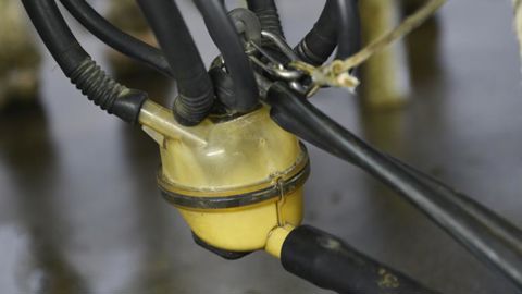 Les livraisons de lait de vache ont augmenté de 1,4 % en octobre 2019 par rapport à 2018. @ C. Faimali/GFA Les livraisons de lait de vache ont augmenté de 1,4 % en octobre 2019 par rapport à 2018. @ C. Faimali/GFA