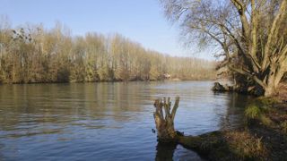 Bords de l’Oise, en hiver, à Compiègne. © Cédric Faimali/GFA Bords de l’Oise, en hiver, à Compiègne. © Cédric Faimali/GFA