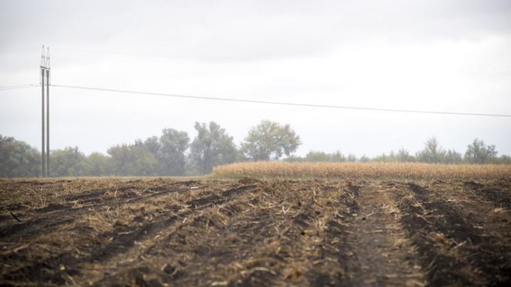 Les terres ukrainiennes font partie des plus fertiles de l’Europe. © Jérôme Chabanne