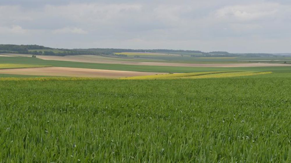 © Cédric Faimali/GFA