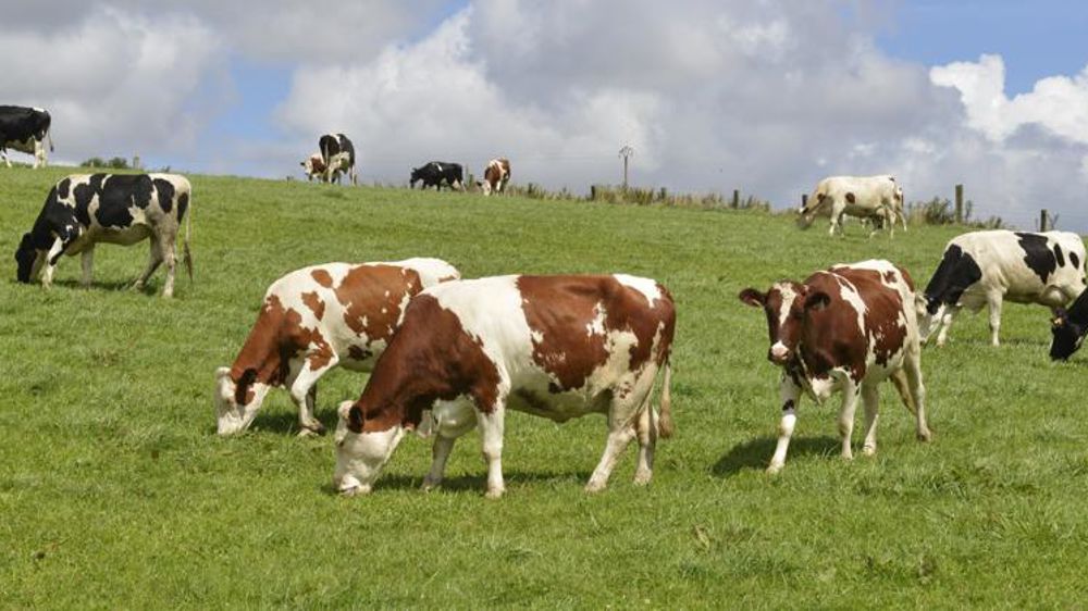 © Cédric Faimali/GFA