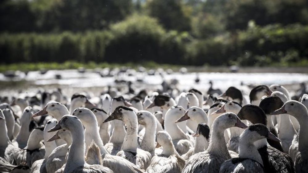 © Jérôme Chabanne