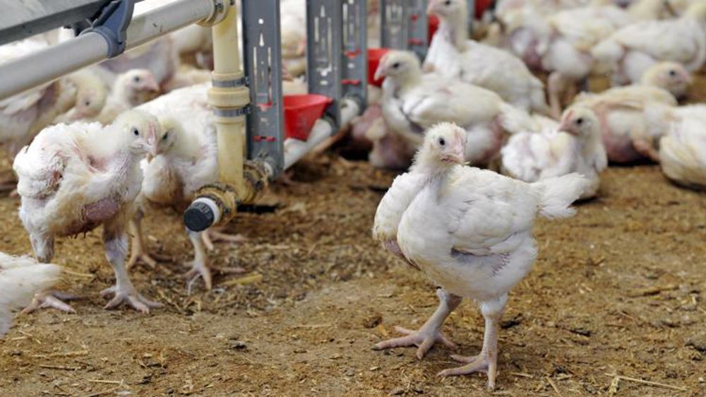 © Cédric Faimali/GFA