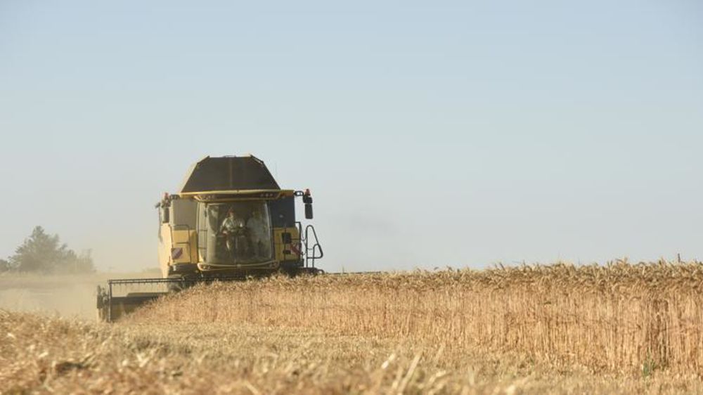 Les prix du blé sont en hausse (photo d’illustration). © Cédric Faimali/GFA