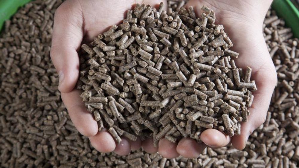 © Sébastien Champion