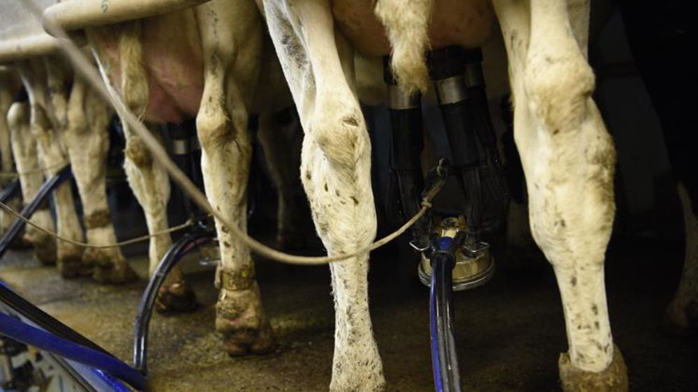 ©Cédric Faimali/GFA