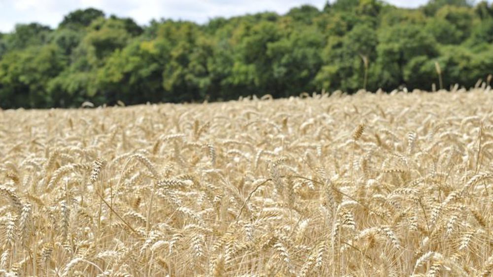 © Cédric Faimali/GFA