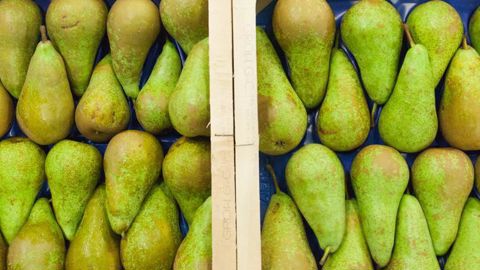 La production de poires devrait se stabiliser en 2018. © Sébastien Champion La production de poires devrait se stabiliser en 2018. © Sébastien Champion