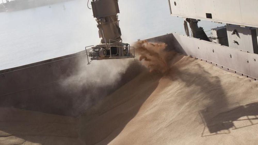 Les prix du blé et des orges se sont appréciés cette semaine. © S. Champion/GFA