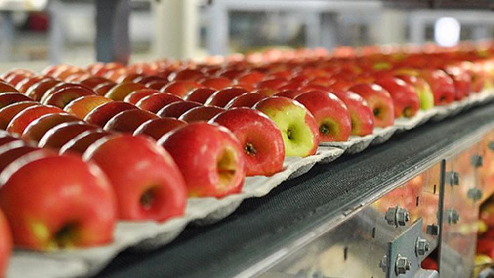 © Philippe Dufour/Interfel