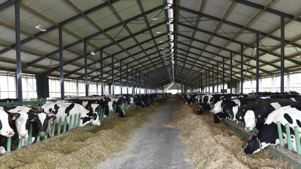 © Cédric Faimali/GFA