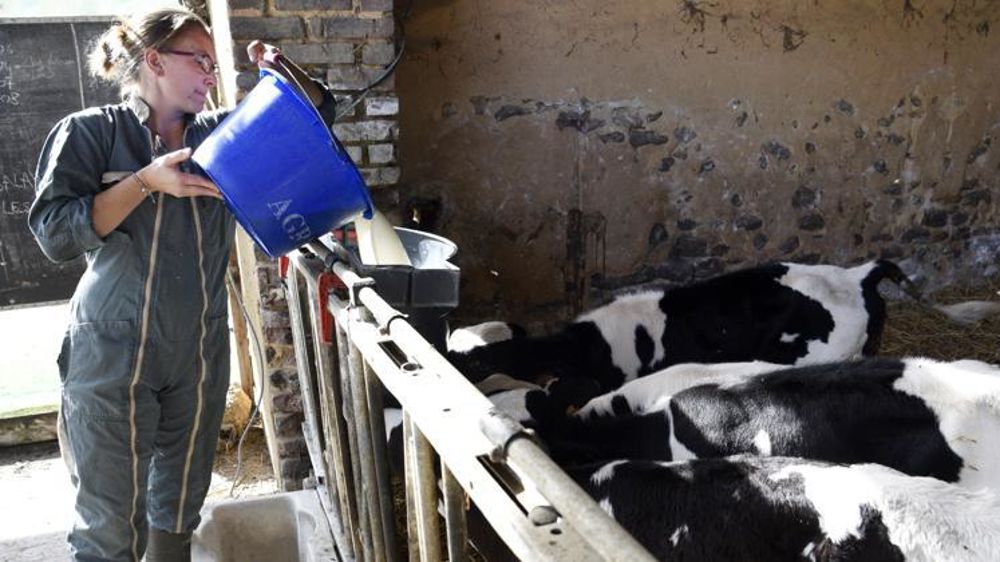 57 % des jeunes installés livrent leur production à une coopérative, selon une enquête présentée par La Coopération agricole (ex-Coop de France) le 15 janvier 2020. © Cédric Faimali/GFA