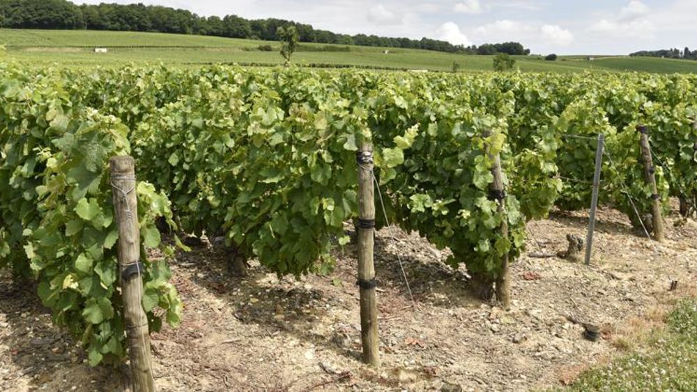 © Cédric Faimali/GFA