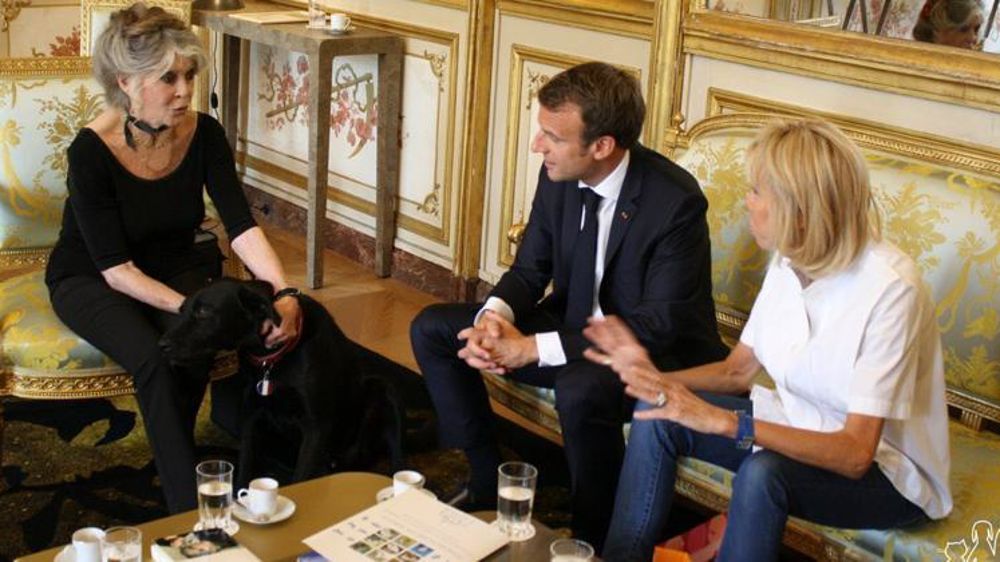 © Twitter Brigitte Bardot