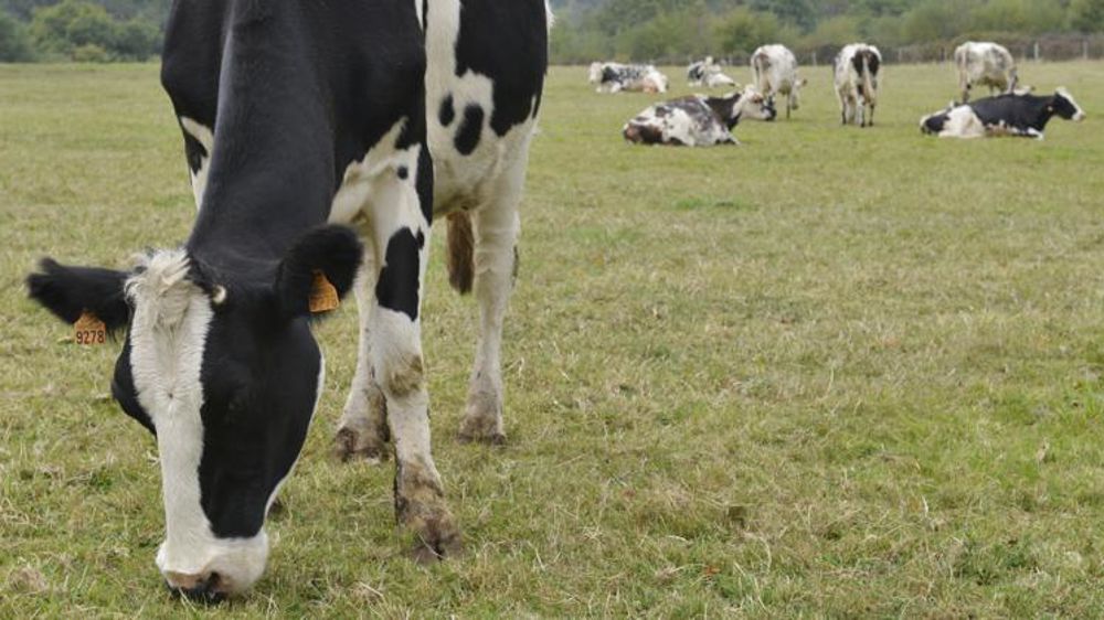 © Cédric Faimali/GFA