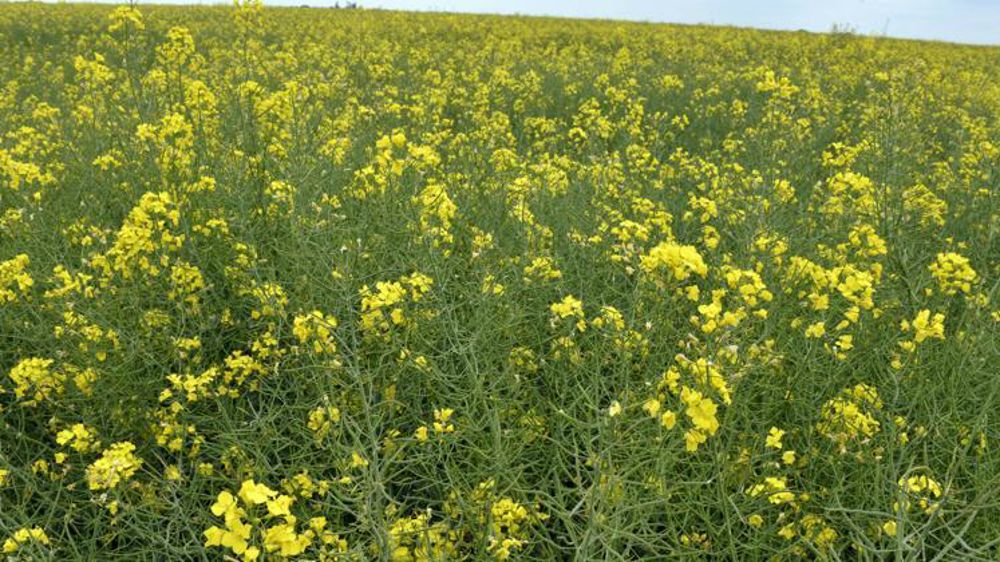 © Cédric Faimali/GFA