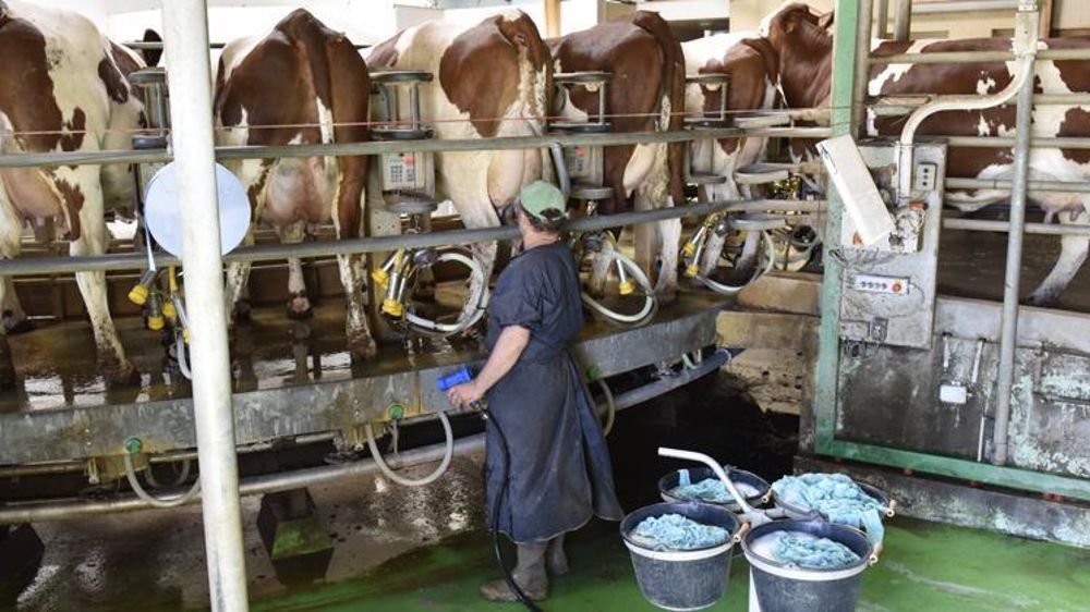 © Cédric Faimali/GFA