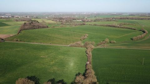La Cour des comptes européenne met l’accent sur la nécessité de maintenir le niveau d’exigences environnementales durant la période de transition, notamment pour les MAEC, les aides bio, les aides à l’investissement. © C. Faimali/GFA