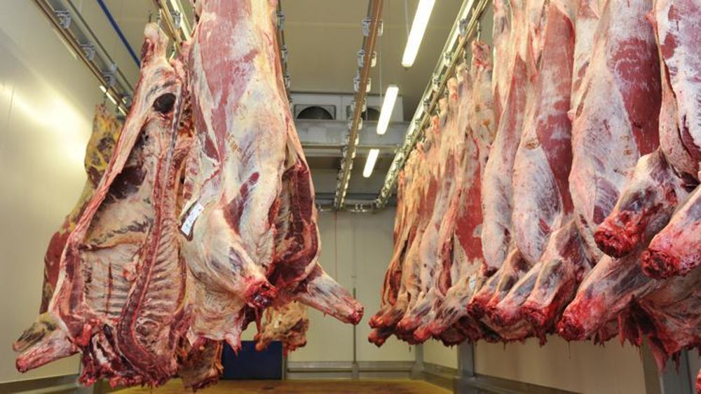 © Cédric Faimali/GFA