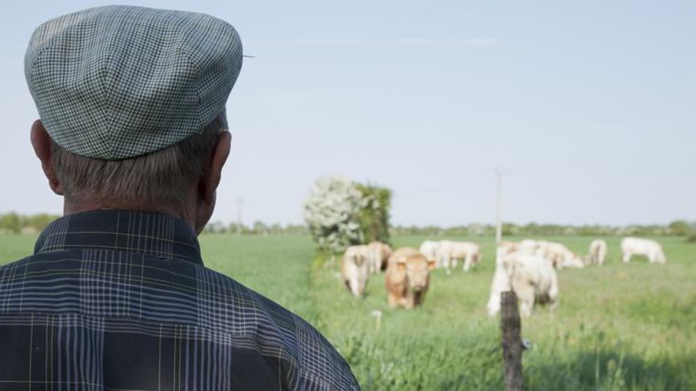 © Sébastien Champion