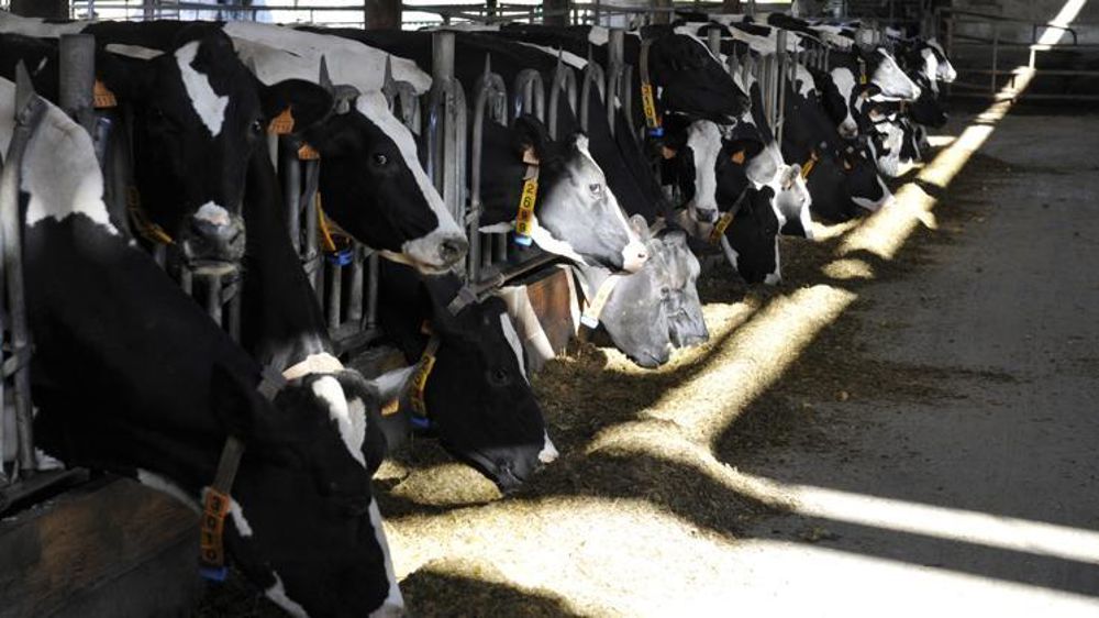 Photo d’illustration. © C. Faimali/GFA