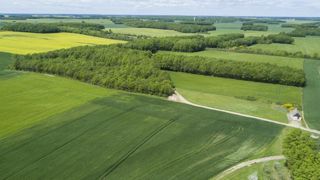 22 départements ont modifié leur date de début de présence obligatoire pour les dérobées SIE pour 2020. © C. Faimali/GFA 22 départements ont modifié leur date de début de présence obligatoire pour les dérobées SIE pour 2020. © C. Faimali/GFA