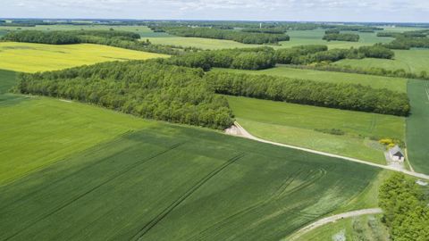 22 départements ont modifié leur date de début de présence obligatoire pour les dérobées SIE pour 2020. © C. Faimali/GFA
