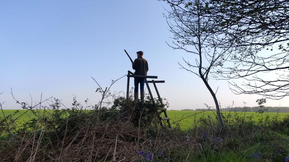 Les détenteurs d’armes auront un compte personnel sécurisé où ils pourront contrôler les informations de leur râtelier. © S. Terrier