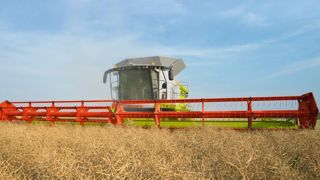 Claas Claas