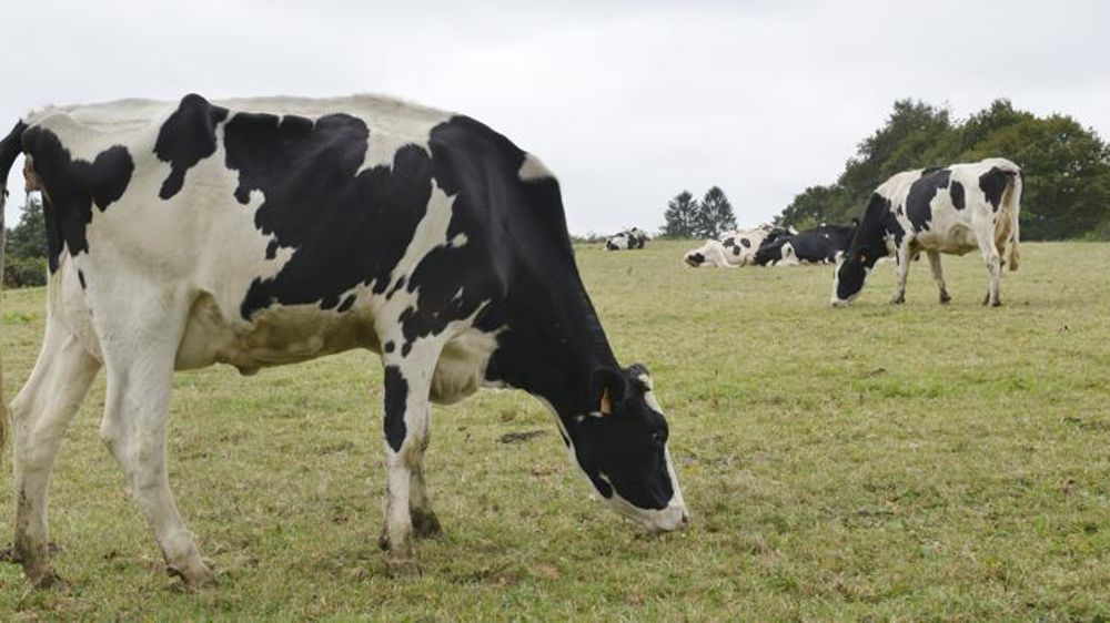 © Cédric Faimali/GFA