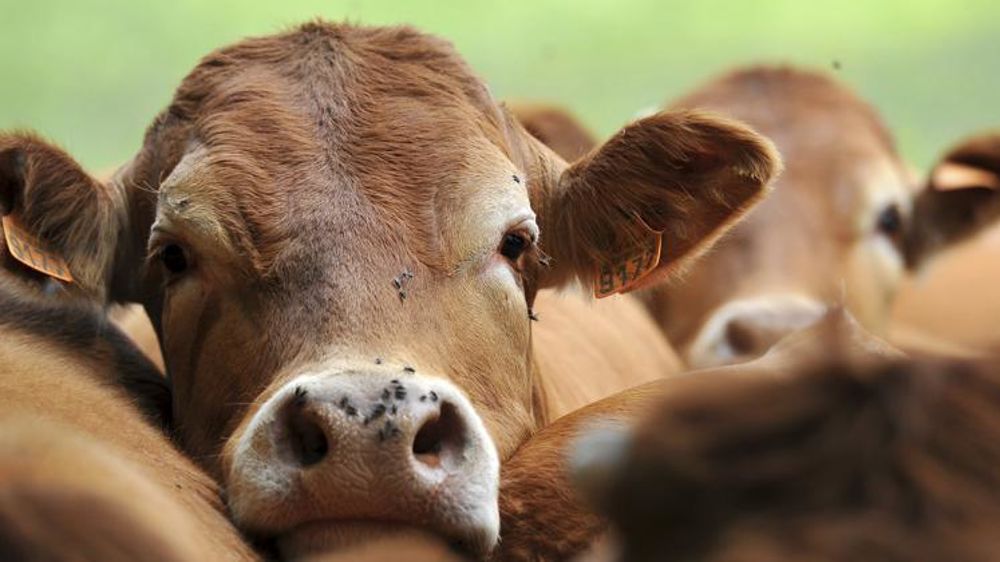 © J. Chabanne/Reportage