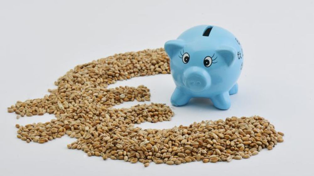 ©  C. Faimali / GFA