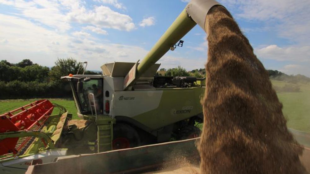 La récolte française de blé tendre est estimée en retrait de 1 million de tonnes par rapport à juillet dernier. © P. Peeters/GFA